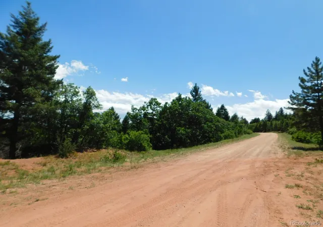 Homes for sale in Larkspur, CO | 6447 Thunderbird Rd, Larkspur, CO 80118 | MLS# 5852675