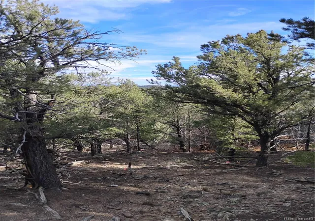 6th image of 1105 Owens Ln, Cotopaxi, CO 81223 | MLS# 7177255