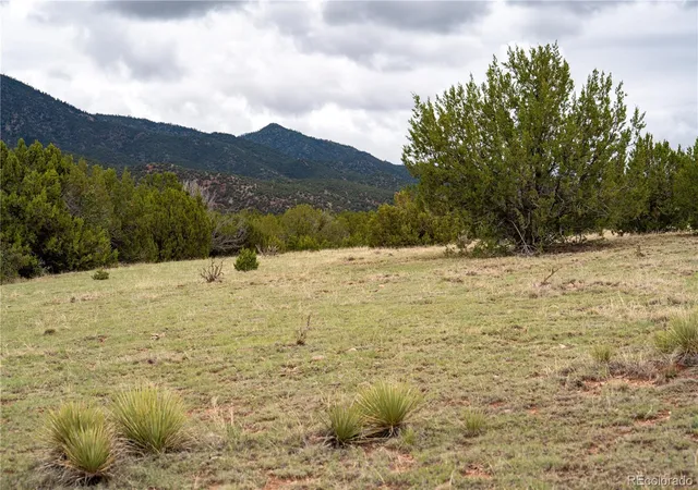 5th image of 4 Lot Iron Handle Rd, Penrose, CO 81240 | MLS# 2324385