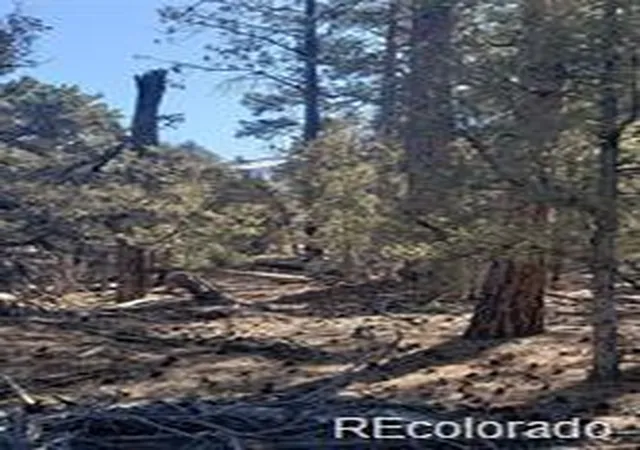Homes for sale in Alamosa, CO | Tract 2 Costilla Pl, Alamosa, CO 81101 | MLS# 2696950
