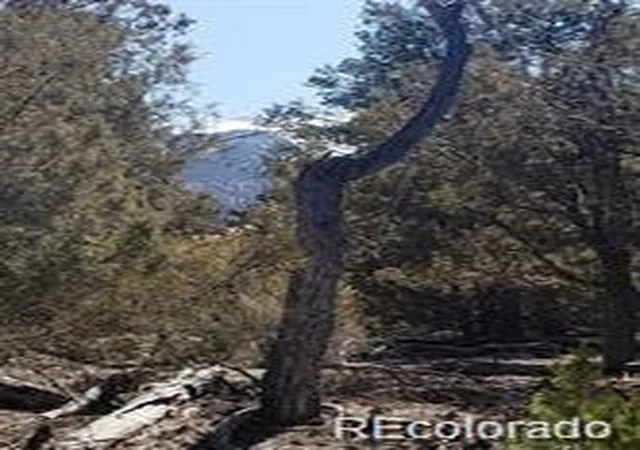 Homes for sale in Alamosa, CO | Tract 2 Costilla Pl, Alamosa, CO 81101 | MLS# 2696950