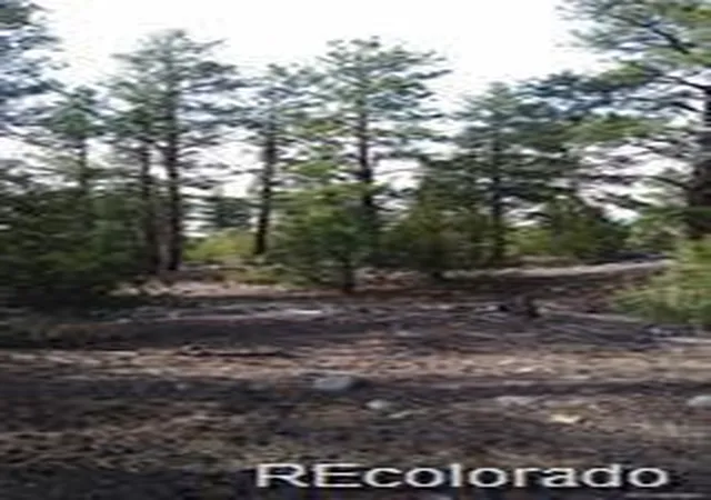 Homes for sale in Alamosa, CO | 13 Tract 2 Costilla Pl, Alamosa, CO 81101 | MLS# 3856247