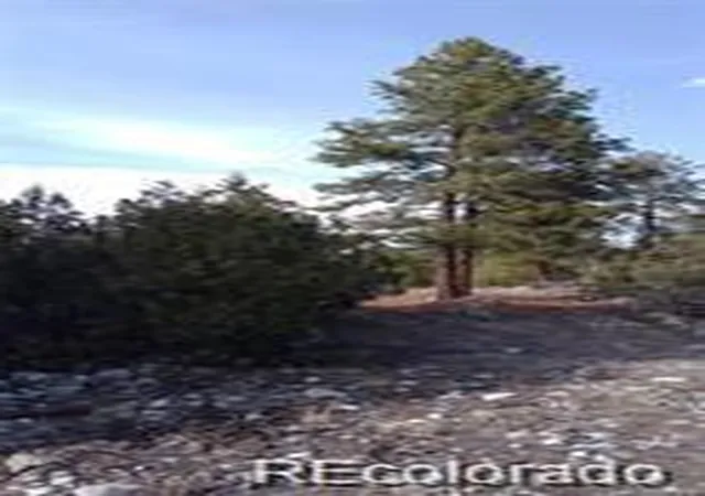 Homes for sale in Alamosa, CO | 13 Tract 2 Costilla Pl, Alamosa, CO 81101 | MLS# 3856247
