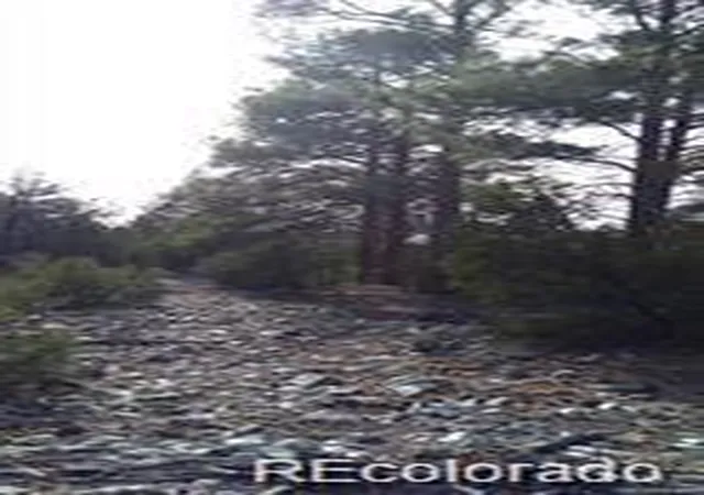 Homes for sale in Alamosa, CO | 13 Tract 2 Costilla Pl, Alamosa, CO 81101 | MLS# 3856247