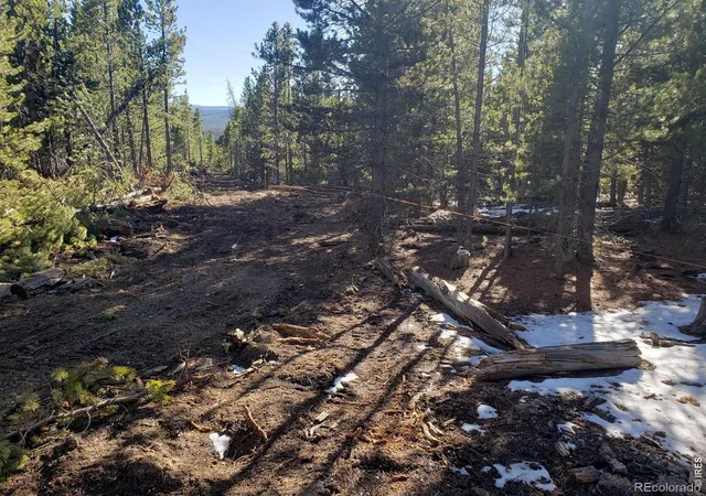 Homes for sale in Red Feather Lakes, CO | 0 Forest Service 169 Lot #15 Rd, Red Feather Lakes, CO 80545 | MLS# IR1062929