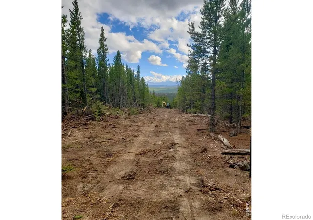 Photo 3 of Land for sale at 0 Forest Service 169 Lot #15 Rd, Red Feather Lakes, CO 80545 | MLS# IR1062929 | Listing updated on 2026-09-24