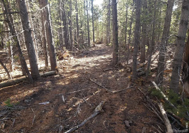 Homes for sale in Red Feather Lakes, CO | 0 Forest Service 169 Lot #15 Rd, Red Feather Lakes, CO 80545 | MLS# IR1062929