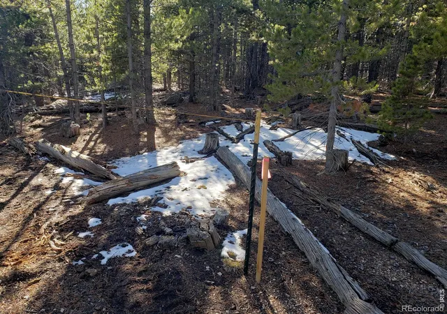Homes for sale in Red Feather Lakes, CO | 0 Forest Service 169 Lot #15 Rd, Red Feather Lakes, CO 80545 | MLS# IR1062929