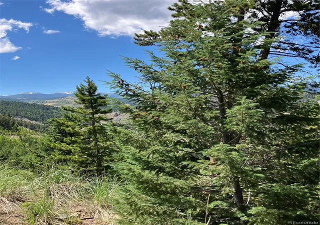 Homes for sale in Black Hawk, CO | 3 Miners Rd, Black Hawk, CO 80422 | MLS# 4431992
