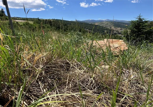 Homes for sale in Black Hawk, CO | 3 Miners Rd, Black Hawk, CO 80422 | MLS# 4431992