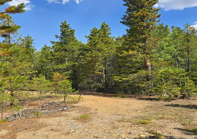 2nd image of 000 Virginia Canyon Rd, Central City, CO 80427 | MLS# 6670269