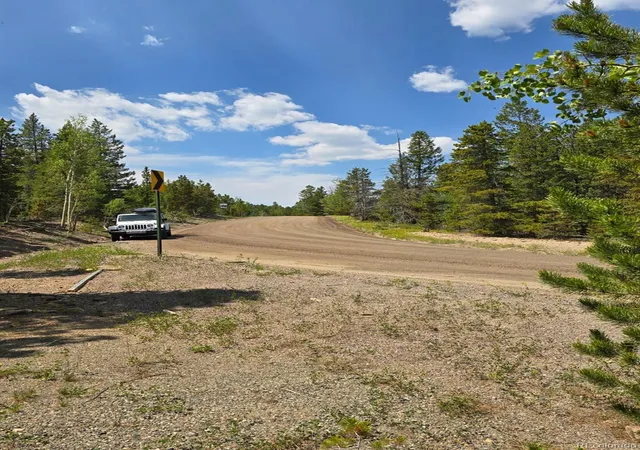 4th image of 000 Virginia Canyon Rd, Central City, CO 80427 | MLS# 6670269