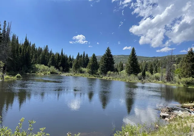 Homes for sale in Red Feather Lakes, CO | 22 Tami Rd, Red Feather Lakes, CO 80545 | MLS# IR1062944