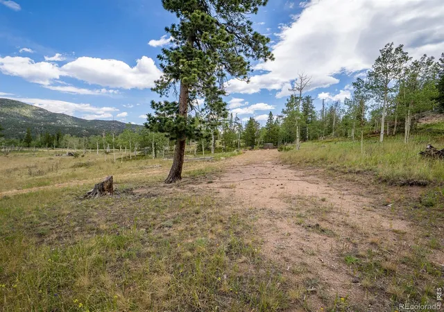 Homes for sale in Red Feather Lakes, CO | 22 Tami Rd, Red Feather Lakes, CO 80545 | MLS# IR1062944