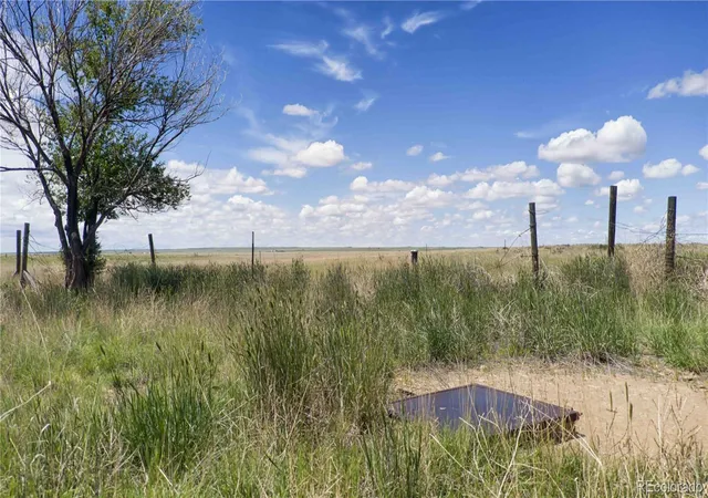 Homes for sale in Rush, CO | 39320 Truckton Rd, Rush, CO 80833 | MLS# 2709868