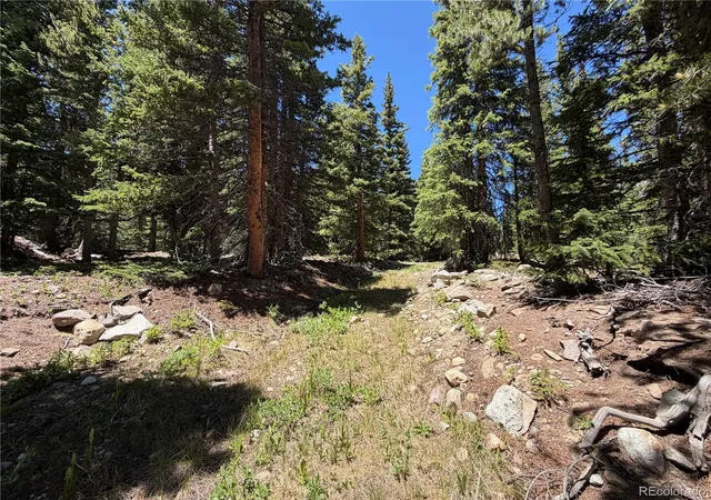 Homes for sale in Fairplay, CO | 339 Silverheels Pl, Fairplay, CO 80440 | MLS# 5609503
