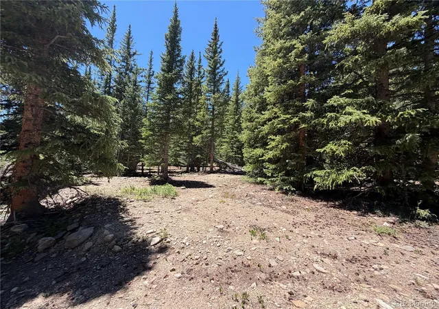 Homes for sale in Fairplay, CO | 339 Silverheels Pl, Fairplay, CO 80440 | MLS# 5609503