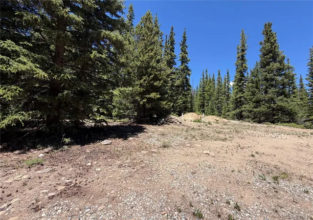 Homes for sale in Fairplay, CO | 339 Silverheels Pl, Fairplay, CO 80440 | MLS# 5609503