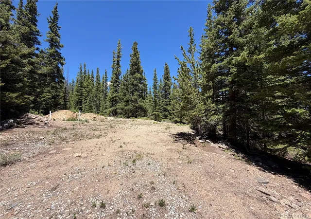 Homes for sale in Fairplay, CO | 339 Silverheels Pl, Fairplay, CO 80440 | MLS# 5609503