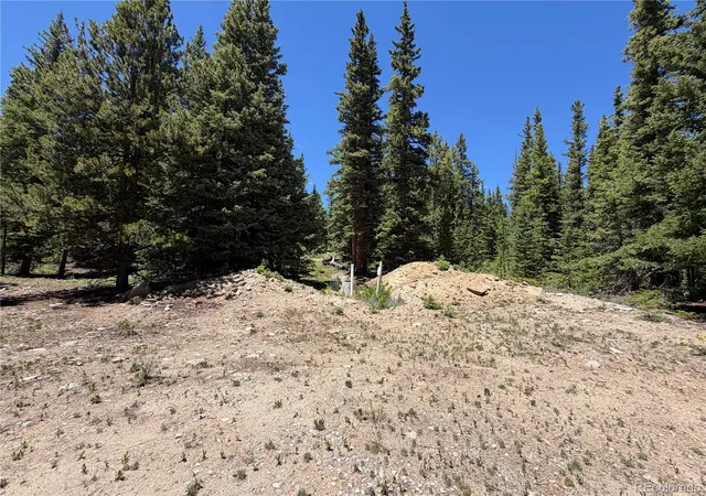 Homes for sale in Fairplay, CO | 339 Silverheels Pl, Fairplay, CO 80440 | MLS# 5609503