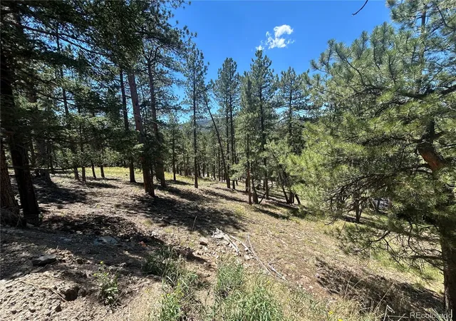 Photo 1 of Land for sale at 0 Pine, Evergreen, CO 80439 | MLS# 2409364 | Listing updated on 2026-07-02