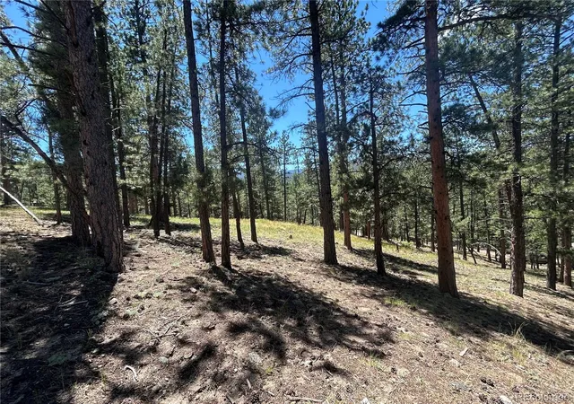 Photo 3 of Land for sale at 0 Pine, Evergreen, CO 80439 | MLS# 2409364 | Listing updated on 2026-07-02