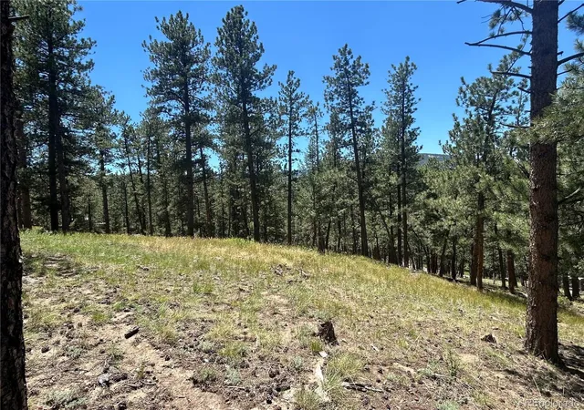 Photo 4 of Land for sale at 0 Pine, Evergreen, CO 80439 | MLS# 2409364 | Listing updated on 2026-07-02