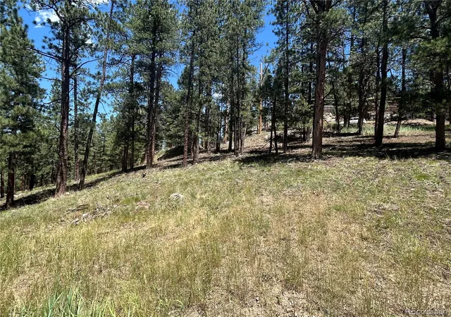 Photo 5 of Land for sale at 0 Pine, Evergreen, CO 80439 | MLS# 2409364 | Listing updated on 2026-07-02