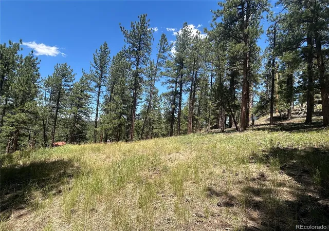 Photo 6 of Land for sale at 0 Pine, Evergreen, CO 80439 | MLS# 2409364 | Listing updated on 2026-07-02