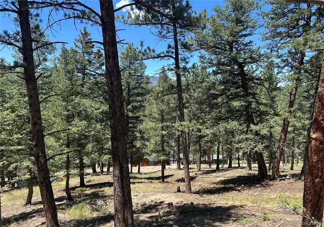 Photo 2 of Land for sale at 00 Pine Rd, Evergreen, CO 80439 | MLS# 8516716 | Listing updated on 2026-06-30