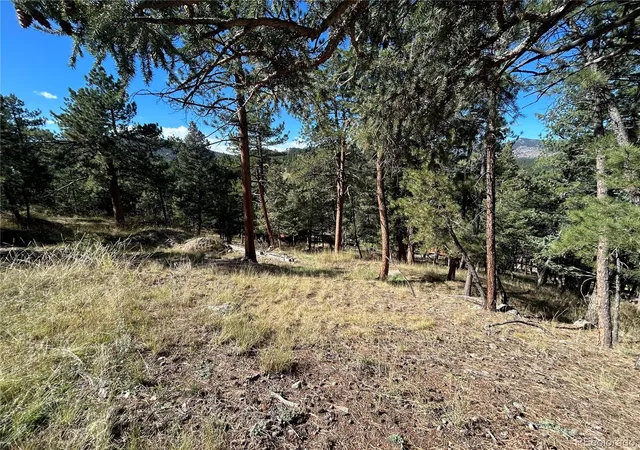 Photo 3 of Land for sale at 00 Pine Rd, Evergreen, CO 80439 | MLS# 8516716 | Listing updated on 2026-06-30