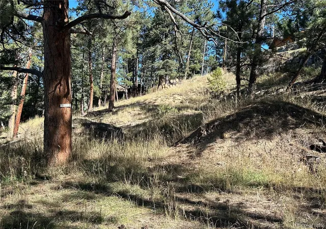 Photo 3 of Land for sale at 00 Pine Rd, Evergreen, CO 80439 | MLS# 8516716 | Listing updated on 2026-06-30