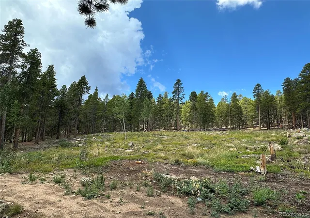 Photo 4 of Single family home for sale at 754 Mountain Meadows Dr, Black Hawk, CO 80422 | MLS# 1724787 | Listing updated on 2026-09-02