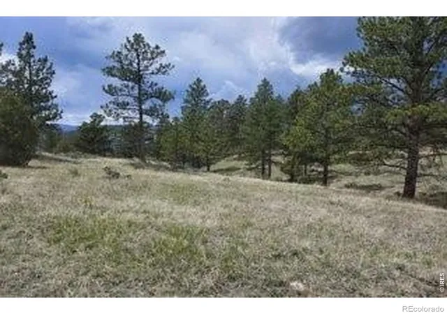 3rd image of 94 Culebra Peak Ct, Livermore, CO 80536 | MLS# IR1062984