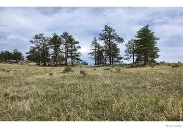 4th image of 94 Culebra Peak Ct, Livermore, CO 80536 | MLS# IR1062984
