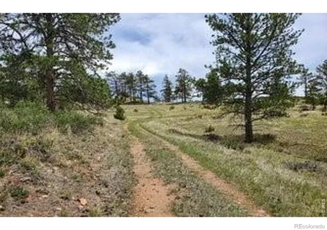 5th image of 94 Culebra Peak Ct, Livermore, CO 80536 | MLS# IR1062984
