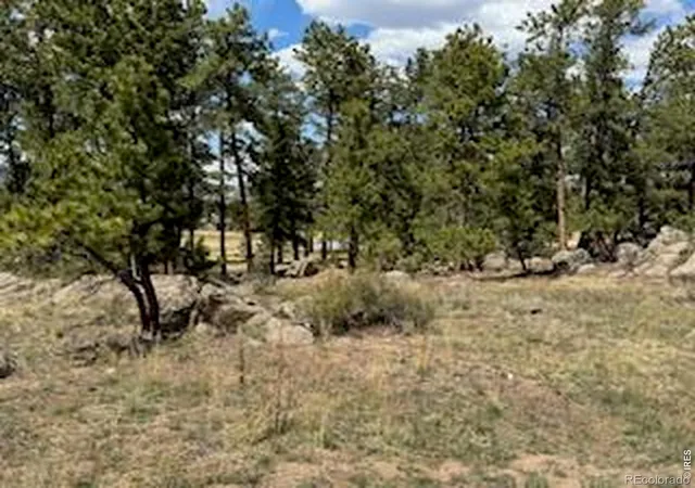 Homes for sale in Red Feather Lakes, CO | 2215 Fox Acres Dr E, Red Feather Lakes, CO 80545 | MLS# IR1062987