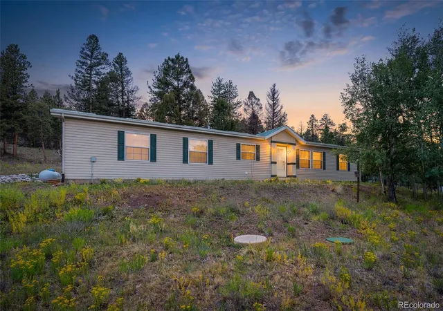 Homes for sale in Hartsel, CO | 1855 Windmill Dr, Hartsel, CO 80449 | MLS# 2710095