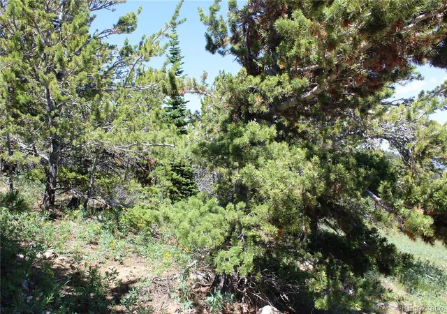 Homes for sale in Black Hawk, CO | 1595 Missouri Gulch Rd, Black Hawk, CO 80422 | MLS# 3809782