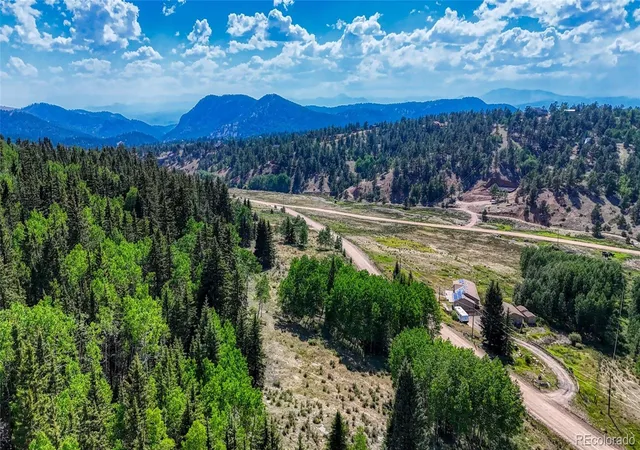 Homes for sale in Cripple Creek, CO | 1444 Anges Dr, Cripple Creek, CO 80813 | MLS# 4606024