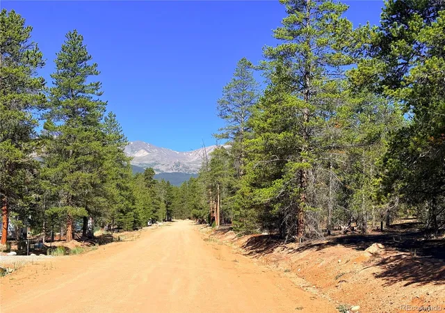 2nd image of 323 Aspen Dr, Leadville, CO 80461 | MLS# 3693614
