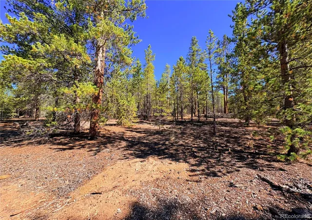 3rd image of 323 Aspen Dr, Leadville, CO 80461 | MLS# 3693614