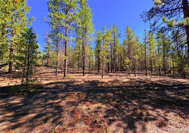 4th image of 323 Aspen Dr, Leadville, CO 80461 | MLS# 3693614