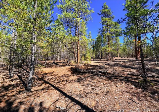 5th image of 323 Aspen Dr, Leadville, CO 80461 | MLS# 3693614