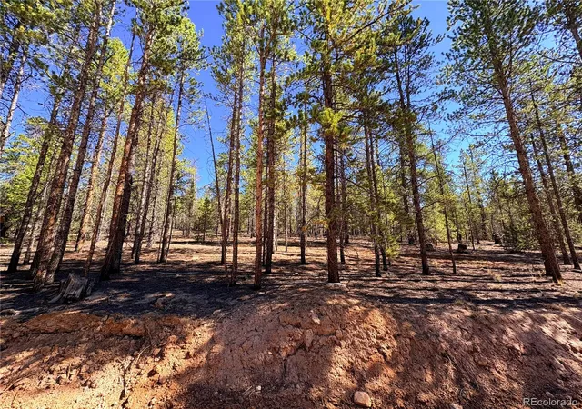 8th image of 323 Aspen Dr, Leadville, CO 80461 | MLS# 3693614