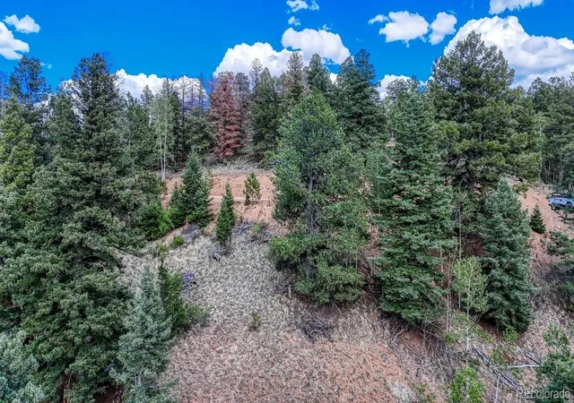 Homes for sale in Cripple Creek, CO | 783 Bennett Dr, Cripple Creek, CO 80813 | MLS# 2227402