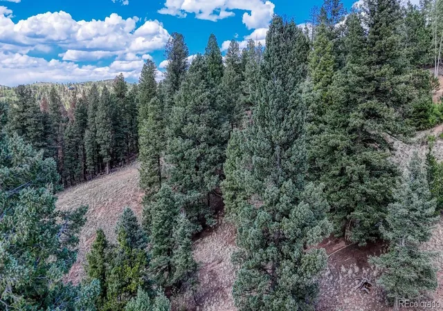 Homes for sale in Cripple Creek, CO | 783 Bennett Dr, Cripple Creek, CO 80813 | MLS# 2227402