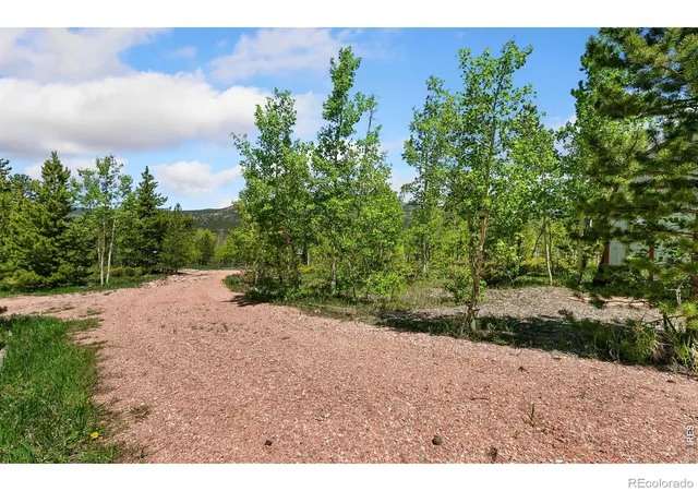 5th image of 5481 N County Road 73C, Red Feather Lakes, CO 80545 | MLS# IR1063017