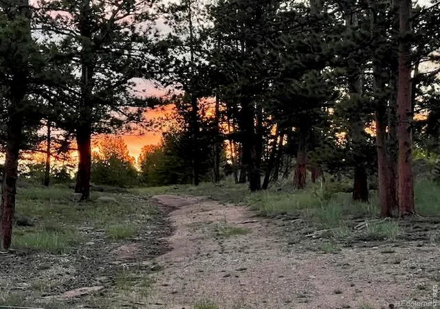 5th image of 3086 Fox Acres Dr E, Red Feather Lakes, CO 80545 | MLS# IR1063025