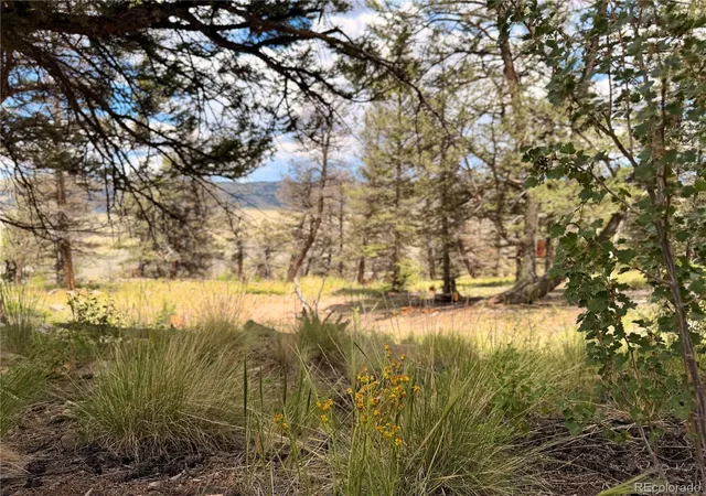 Homes for sale in Fairplay, CO | 1348 Middle Fork Vis, Fairplay, CO 80440 | MLS# 3043691